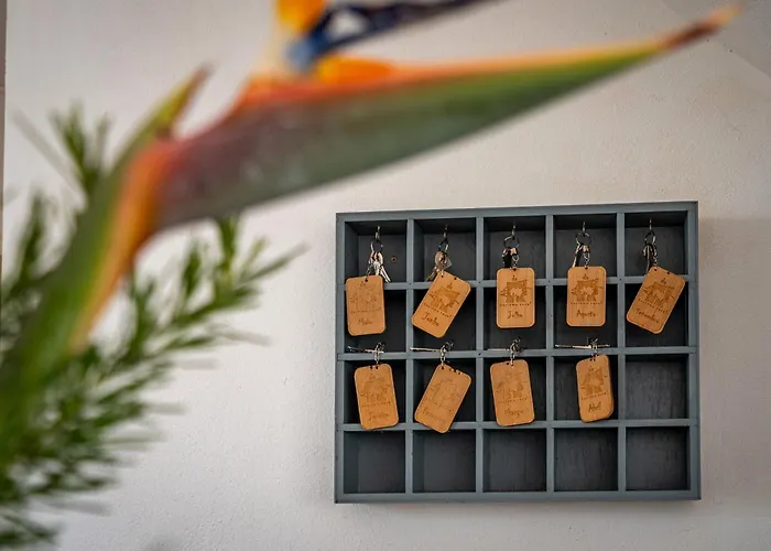 Alto Da Lua 3* 보르데이라