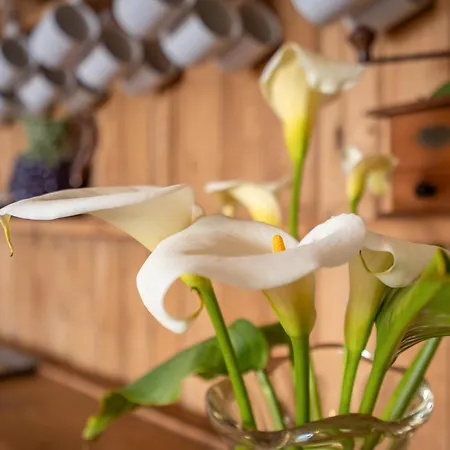 Alto Da Lua 3* ボルデイラ