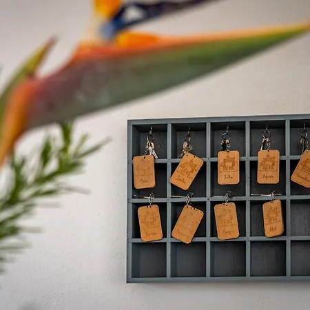 Alto Da Lua 3* بورديرا