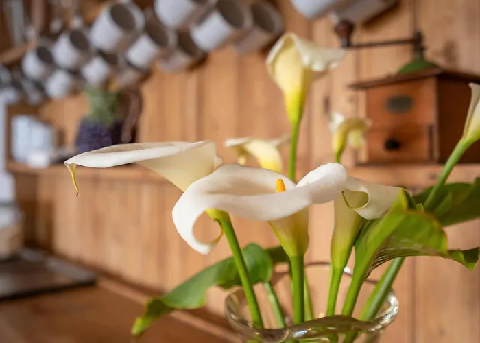 Alto Da Lua 3* Bordeira (Bordeira)